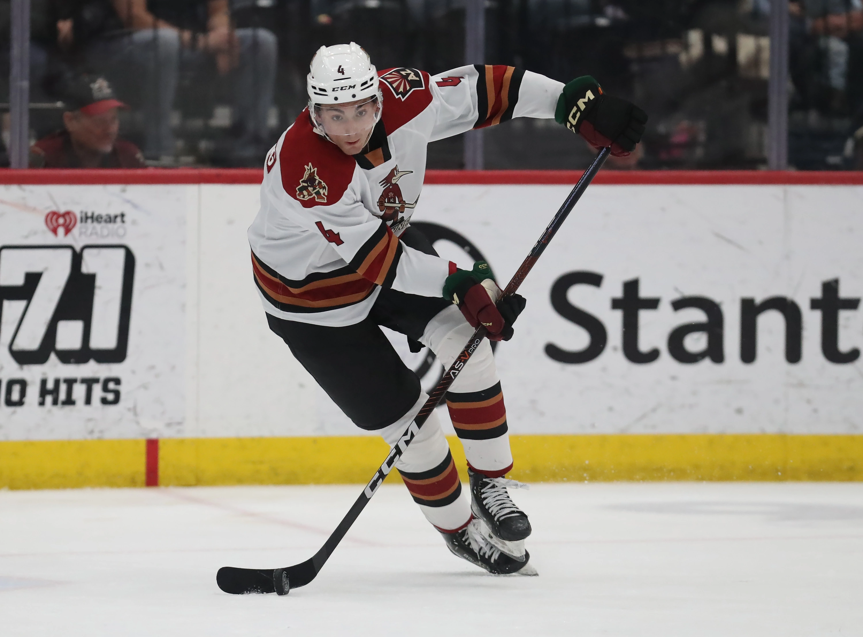 Tucson Roadrunners hockey community event